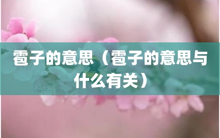 雹子的意思（雹子的意思与什么有关）