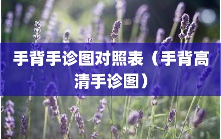 手背手诊图对照表（手背高清手诊图）