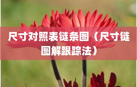 尺寸对照表链条图（尺寸链图解跟踪法）