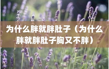 为什么胖就胖肚子（为什么胖就胖肚子胸又不胖）