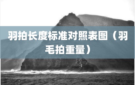 羽拍长度标准对照表图（羽毛拍重量）