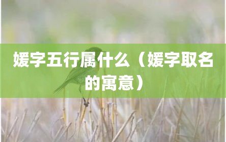 媛字五行属什么（媛字取名的寓意）