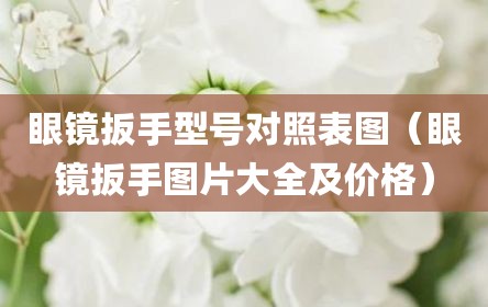 眼镜扳手型号对照表图（眼镜扳手图片大全及价格）