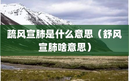 疏风宣肺是什么意思（舒风宣肺啥意思）