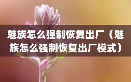 魅族怎么强制恢复出厂（魅族怎么强制恢复出厂模式）