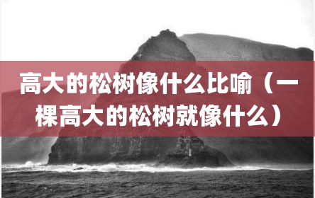 高大的松树像什么比喻（一棵高大的松树就像什么）
