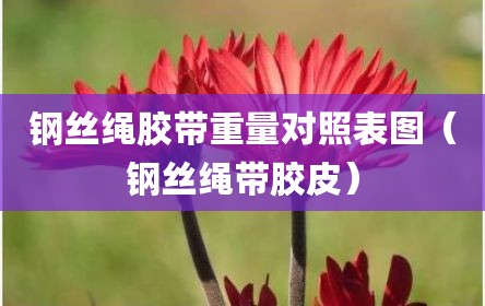 钢丝绳胶带重量对照表图（钢丝绳带胶皮）