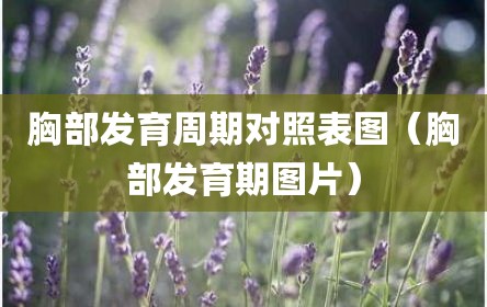 胸部发育周期对照表图（胸部发育期图片）