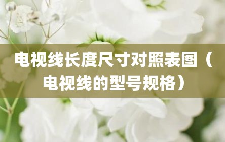 电视线长度尺寸对照表图（电视线的型号规格）