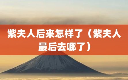 紫夫人后来怎样了（紫夫人最后去哪了）