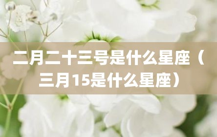 二月二十三号是什么星座（三月15是什么星座）