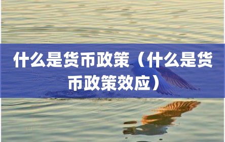 什么是货币政策（什么是货币政策效应）