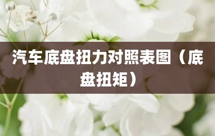 汽车底盘扭力对照表图（底盘扭矩）