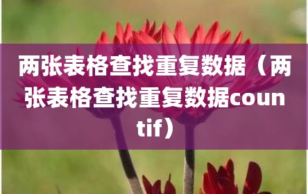 两张表格查找重复数据（两张表格查找重复数据countif）