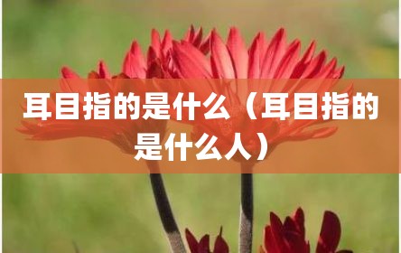 耳目指的是什么（耳目指的是什么人）