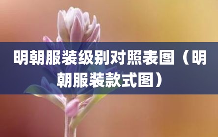 明朝服装级别对照表图（明朝服装款式图）