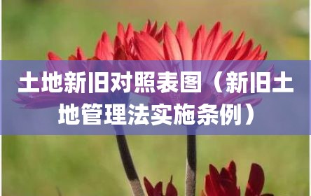 土地新旧对照表图（新旧土地管理法实施条例）