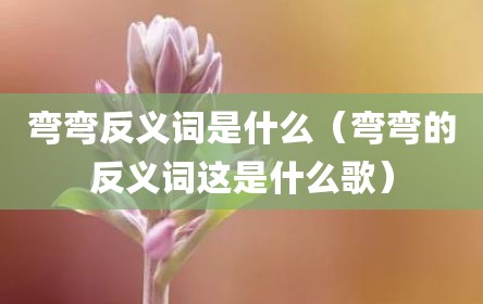 弯弯反义词是什么（弯弯的反义词这是什么歌）
