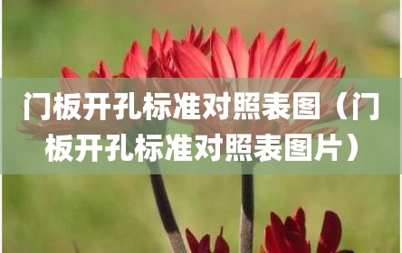 门板开孔标准对照表图（门板开孔标准对照表图片）