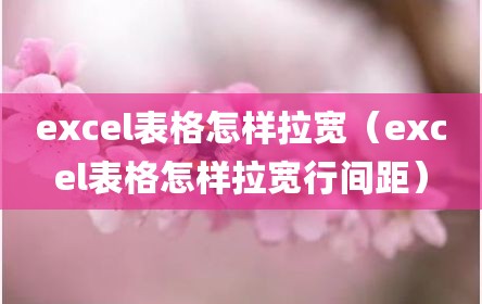 excel表格怎样拉宽（excel表格怎样拉宽行间距）