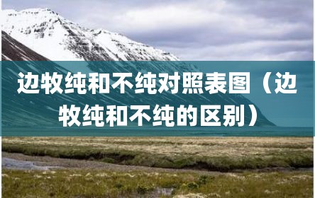 边牧纯和不纯对照表图（边牧纯和不纯的区别）