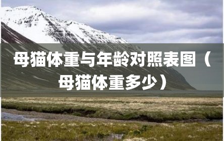 母猫体重与年龄对照表图（母猫体重多少）