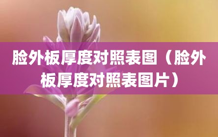 脸外板厚度对照表图（脸外板厚度对照表图片）
