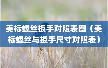 美标螺丝扳手对照表图（美标螺丝与扳手尺寸对照表）