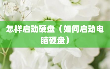 怎样启动硬盘（如何启动电脑硬盘）