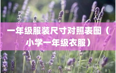 一年级服装尺寸对照表图（小学一年级衣服）