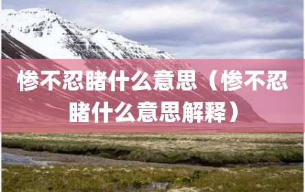 惨不忍睹什么意思（惨不忍睹什么意思解释）