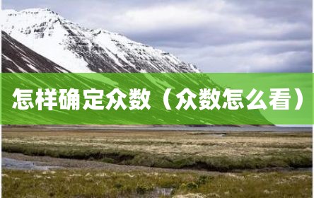 怎样确定众数（众数怎么看）