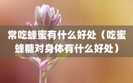 常吃蜂蜜有什么好处（吃蜜蜂糖对身体有什么好处）