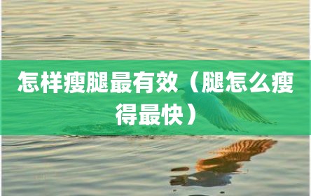 怎样瘦腿最有效（腿怎么瘦得最快）