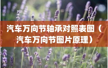 汽车万向节轴承对照表图（汽车万向节图片原理）