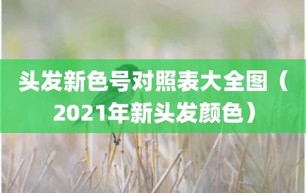 头发新色号对照表大全图（2021年新头发颜色）