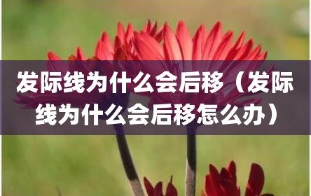 发际线为什么会后移（发际线为什么会后移怎么办）