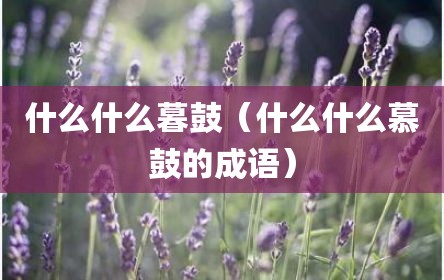 什么什么暮鼓（什么什么慕鼓的成语）