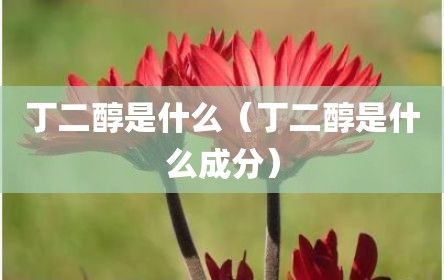 丁二醇是什么（丁二醇是什么成分）