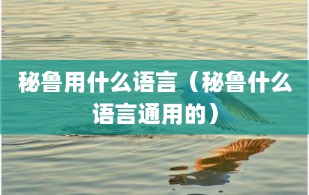 秘鲁用什么语言（秘鲁什么语言通用的）