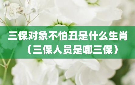三保对象不怕丑是什么生肖（三保人员是哪三保）