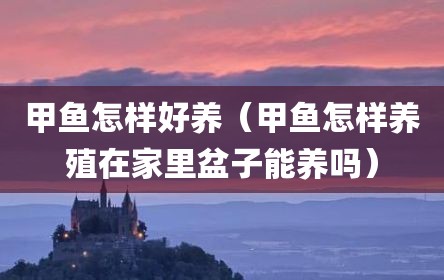 甲鱼怎样好养（甲鱼怎样养殖在家里盆子能养吗）