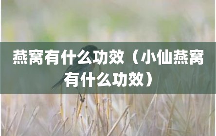 燕窝有什么功效（小仙燕窝有什么功效）
