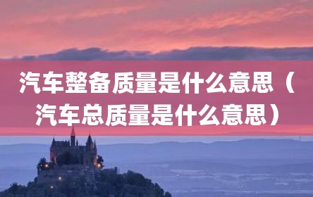 汽车整备质量是什么意思（汽车总质量是什么意思）