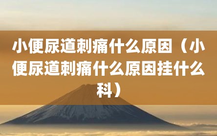 小便尿道刺痛什么原因（小便尿道刺痛什么原因挂什么科）