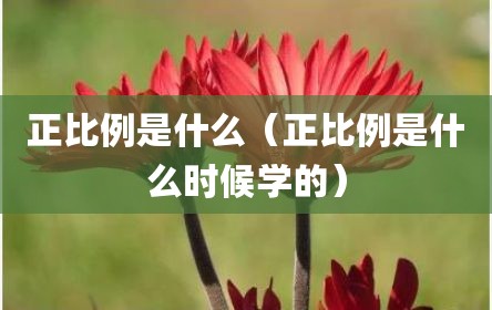 正比例是什么（正比例是什么时候学的）