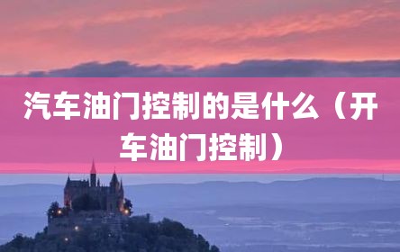 汽车油门控制的是什么（开车油门控制）