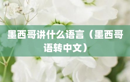 墨西哥讲什么语言（墨西哥语转中文）