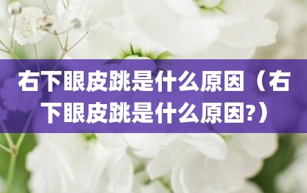 右下眼皮跳是什么原因（右下眼皮跳是什么原因?）