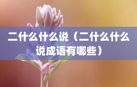 二什么什么说（二什么什么说成语有哪些）